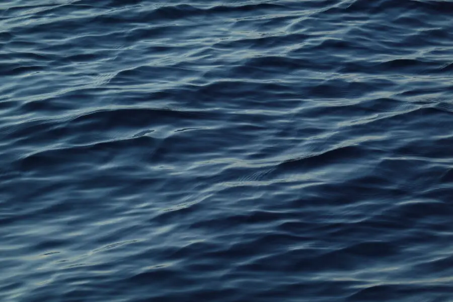 Sea Ripple Texture Free Stock Photo