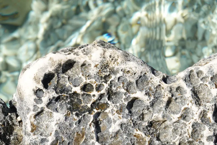 Sea rock and underwater pebbles.